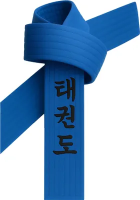 Produktbild von Taekwondo Gürtel Blau bestickt - TKD Schriftzeichen koreanisch - Blaugurt mit Kanji Bestickung - 280 cm Länge