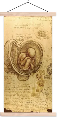 Produktbild von MuchoWow® Textilposter Baby im Mutterleib - Leonardo da Vinci 40x80 cm mit holzfarbenen Rahmen - Wohnzimmer