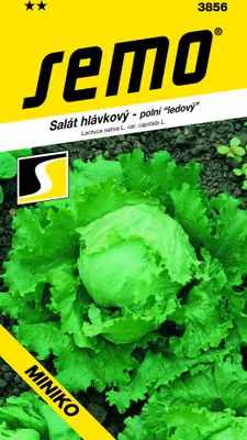 Obrázok produktu pre ŠALÁT HLÁVKOVÝ jarný ľadový Miniko