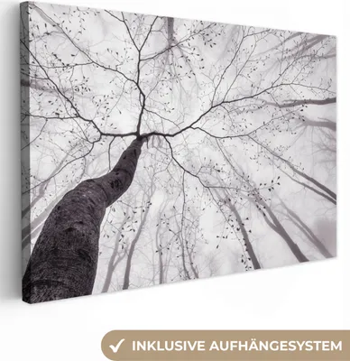 Obrázok produktu pre OneMillionCanvasses® - plátno - 150x100 cm, strom - vetvy - hmla, nástenné umenie Print Wall Decor - fotografia na plátne - maľba na drevenom ráme