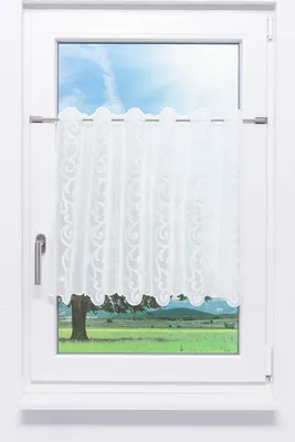 Produktbild von Scheibengardine Plauener Spitze - Reigen (Bx H) 140cm * 60cm weiß