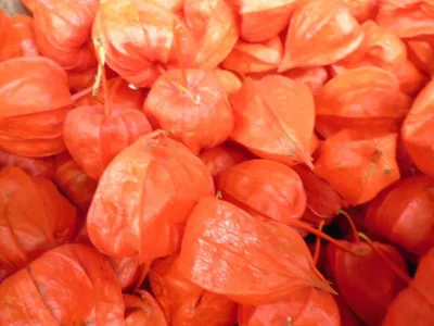 Produktbild von Warentuin Producten