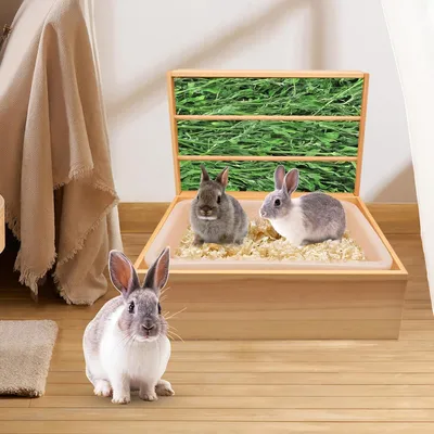 Produktbild von Heu-Futterspender 2-in-1 mit Herausnehmbarer Kunststoffschale - Toilette für Kaninchen, Hasen, Meerschweinchen und Nagetiere 43 x 13,5 x 31,5 cm