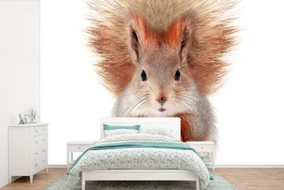 Produktbild von MuchoWow® Fototapete für Wohnzimmer oder Schlafzimmer Wandtapete Vinyl Motivtapete Eichhörnchen - Tiere - Natur - Orange - Weiß - 600x400 cm - Vinyltapeten