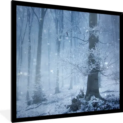 Produktbild von MuchoWow® Gerahmtes Poster Wald - Winter - Schnee 40x40 cm - Poster mit Schwarzem Bilderrahmen Wandposter Rahmen Foto Bilder - Mit Rahmen - Wanddekoration Schlafzimmer