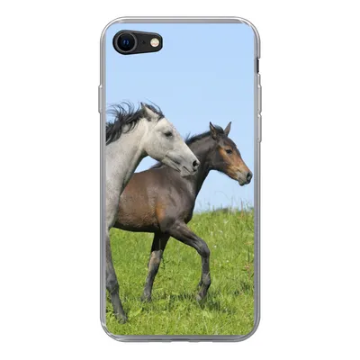 Produktbild von MuchoWow® Handyhülle Schutzhülle Hülle für iPhone 7 Pferde - Tiere - Gras Silikon Softcase Handy Hülle - Kartenhalter