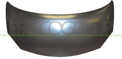 Produktbild von PRASCO RN3073100 Motorhaube für RENAULT TWINGO II (CN0)