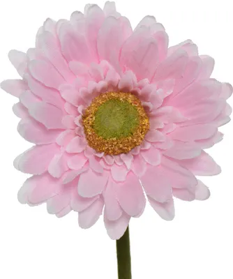 Produktbild von Kunstblume Gerbera mit Stiel 50cm rosa