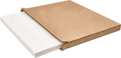 Image de SucceBuy Papier filtre pour friteuse, 100 feuilles, 65,6 x 42,9 cm, remplacement pour machine à filtre pour friteuse commerciale de 55 l, idéal pour les restaurants, les fast-foods et les stands de foire