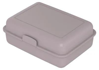 Productafbeelding van Lunchbox "School-Box" groot - Duurzame lunchbox van suikerriet - Brotdoos ideaal voor kinderen en volwassenen - lila