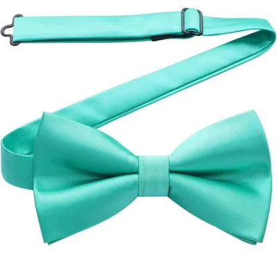 Immagine prodotto di Papillon da uomo, già allacciato, regolabile, colore verde acqua