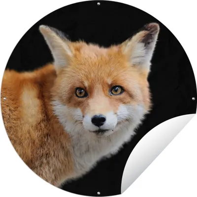 Produktbild von MuchoWow® Gartenposter Outdoor-Poster Rund Fuchs - Tier - Porträt Ø 120 cm Gartendeko Rundes Poster draußen