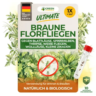 Produktbild von Green Guardia Braune Florfliegen gegen Blattläuse - 1x Röhrchen - Blattläuse bekämpfen, Wollläuse bekämpfen uvm, natürliche Schädlingsbekämpfung