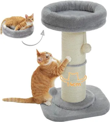 Image de Arbre à chat pour chats d'intérieur, gris, pièce unique