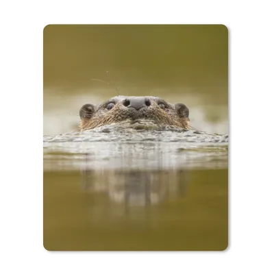 Produktbild von MuchoWow® Mauspad Mousepad Otter schwimmt 30x40 cm - Mousepads - Maus Mat - Pad - Mausunterlage - Mausmatten