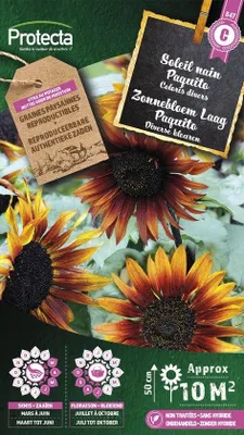 Productafbeelding van Protecta Bloemen zaden: Zonnebloem Laag Paquito