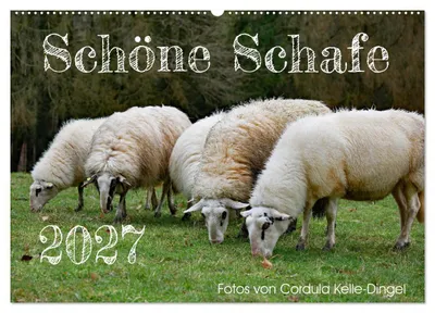 Produktbild von Schöne Schafe (Wandkalender 2027 DIN A2 quer), CALVENDO Monatskalender