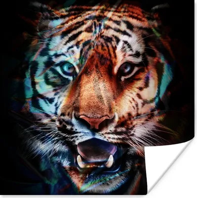 Produktbild von MuchoWow® Poster Tiger - Farben - Tier 30x30 cm - Wandposter - Printing