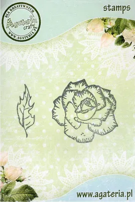 Image de Tampon - Rose - Agateria