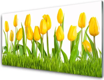 Produktbild von Acrylglasbilder 100x50 Wandbild Druck Tulpen Pflanzen