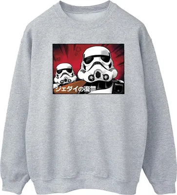 Productafbeelding van Star Wars - Heren sweatshirt BI46125 (XL) (Grijs)