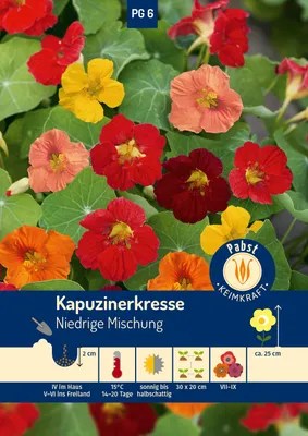 Artikelbild 1 von 'Kapuzinerkresse Niedrige Mischung' aus der Kategorie Kapuzinerkressesamen