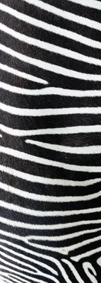 Produktbild von Digitaldruck-Tapete Skin Zebra livingwalls (1034544)