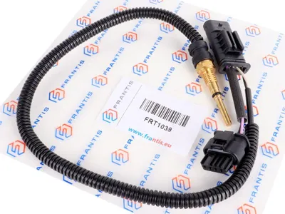 Image de Sonde de thermostat 1.6 THP
