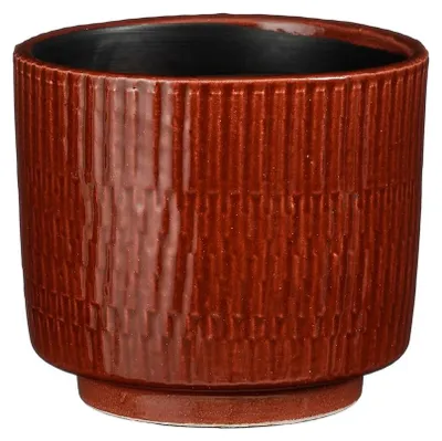 William Topf rond Braun