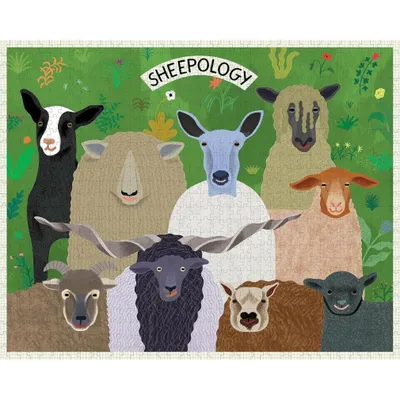 Immagine prodotto di Sheepology 1000 Piece Puzzle – Lingua: Inglese