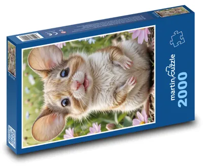 Obrázok produktu pre martinpuzzle - Puzzle 2000 - Myš