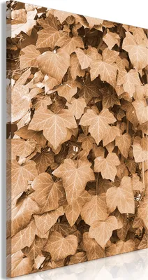 Produktbild von Italienischer Leinwand Leinwandbild - Autumn Ivy (1 Part) Vertical 20x30 cm Blätter b-A-0726-b-a