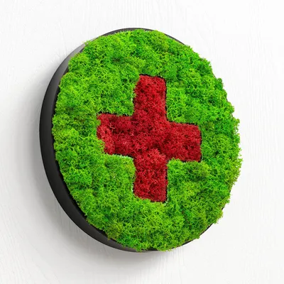 Produktbild von MOOSWERK Moos-Türschild Piktogramm Praxis – Stilvolle Eingangstafel aus Islandmoos im schwarzen Rahmen