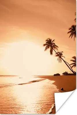 Produktbild von MuchoWow® Poster Sonnenuntergang - Tropisch - Palme - Strand - Meer 20x30 cm - Papierdruck