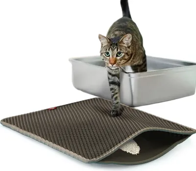Produktbild von Katzenstreumatte · Zaubermatte · Vorleger für Katzentoilette · ca. 80 x 65 cm · anthrazit