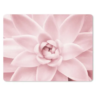 Produktbild von MuchoWow® Mauspad Mousepad Blume - Rosa - Natur - Pflanze 40x30 cm - Mousepads - Maus Mat - Pad - Mausunterlage - Anti Rutsch