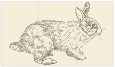 Produktbild von Wallario Herdabdeckplatte aus Glas, Größe 90 x 52 cm 3-teilig, Motiv Hase als illustrierte Bleistiftzeichnung