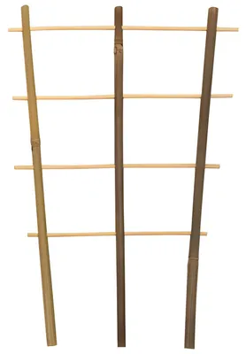Produktbild von - Driesprong collection