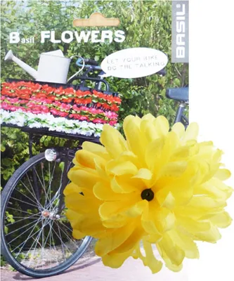 Produktbild von Basil Lenkerblume Dahila , gelb