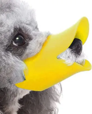 A close-up of a dog wearing a yellow duck-shaped muzzle.
