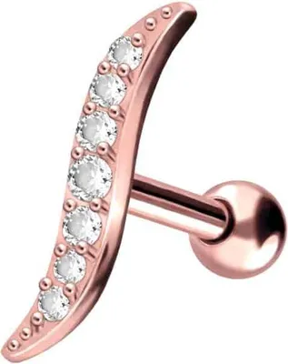 Produktbild von Ohrpiercing Titan Ohrpiercing EINGEFASSTE KRISTALLE