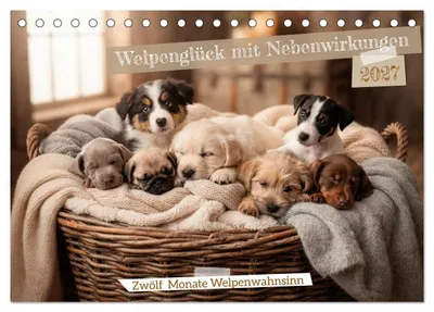 Produktbild von Welpenglück mit Nebenwirkungen (Tischkalender 2027 DIN A5 quer), CALVENDO Monatskalender