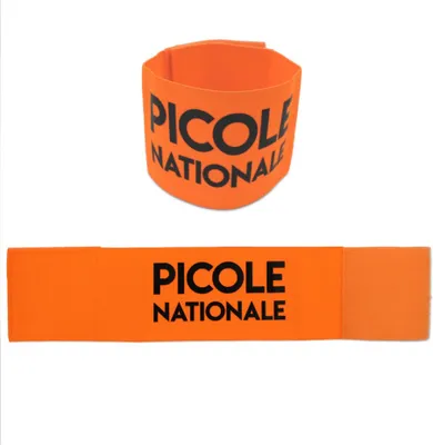 Produktbild von Armbinde Sauf-Nationalmannschaft für Erwachsene Orange - Einheitsgröße