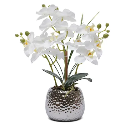 Obrázek produktu pro Umělá rostlina Phalenopsis (Orchidej) Umělá rostlina Barva Bílá Výška 39 cm