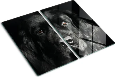 Obrázok produktu pre Sklenená ochranná doska – Kryt varnej dosky – Kryt na indukčnú dosku – 2x30x52 cm – Rýchle čistenie – Tvrdené sklo – Newfoundland