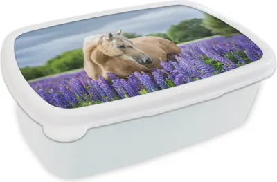 Produktbild von KitchenYeah® Lunchbox Brotzeit Brotdose 17x11 cm Pferd - Blumen - Lila Kinder Brotzeitdose - Lunch Box - Kinder - Sandwich-Box - Schulbox - Lunch Boxen