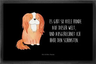 Produktbild von Mr. & Mrs. Panda Schmutzfangmatte Hund Cavalier King Charles Spaniel 50 x 75 cm - Schwarz - Geschenk, Spruch, Sprüche, Fußabtreter, Bodenvorleger, fußmatte, Fussmatte