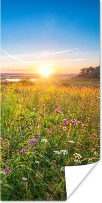 Produktbild von MuchoWow® Poster Sonne - Gras - Blumen 60x120 cm - Wandschmuck