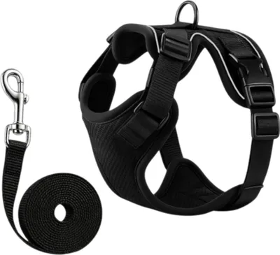 Obrázek produktu pro Purlov 26868 Postroj pro psa vel. S, černý
