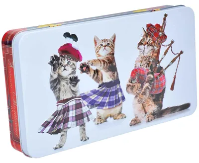 Produktbild von MacDonalds Scottish Shortbread Fingers Dancing Cats Tin 300g